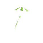 Holiday Let Mortgages Reverse
