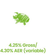 Young Saver Text Rev-1