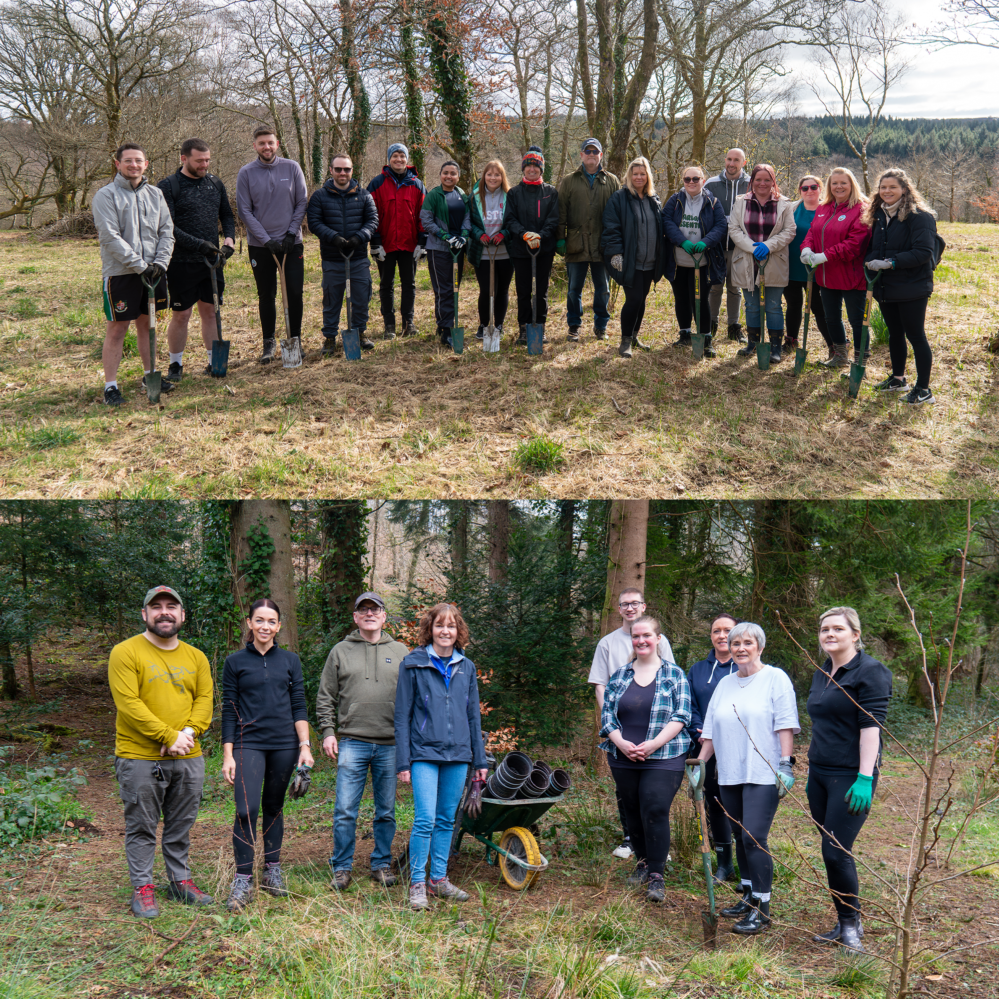 Branching out: expanding our tree-planting initiative at Penllergare Valley Woods